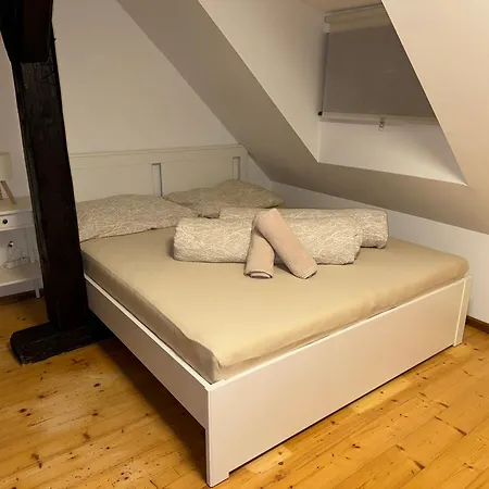 招待所 U Dvou Kocek *